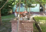Foraje puțuri apa Bordeasca Veche, Vrancea